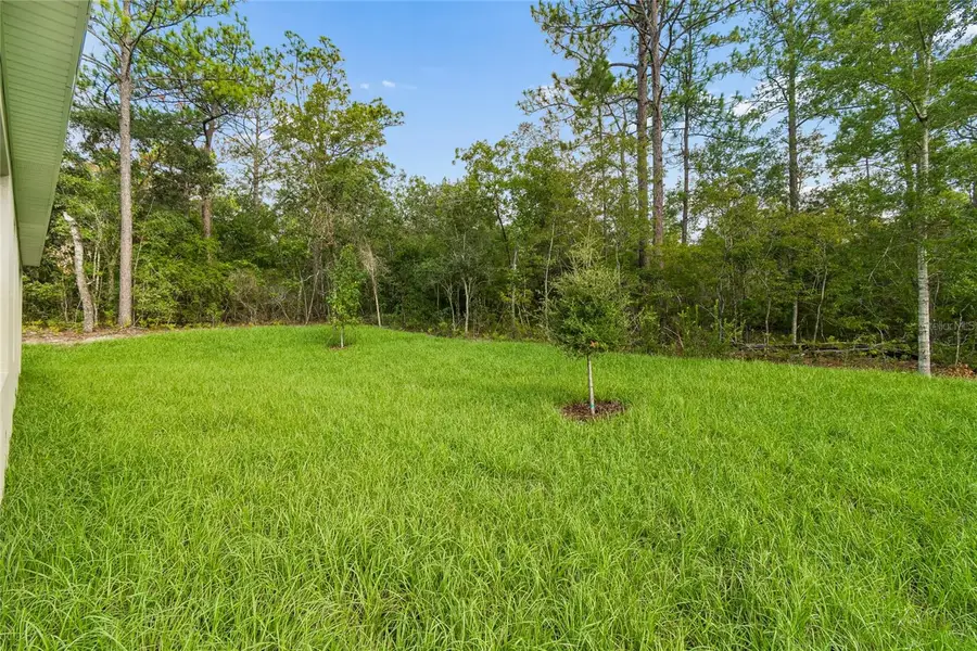 1591 Dolores, Dunnellon, FL 34434 - #2