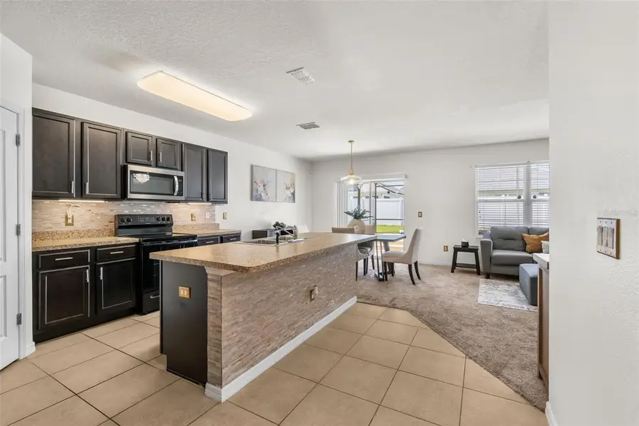3658 Maidencain Street, Clermont, FL 34714 - #2