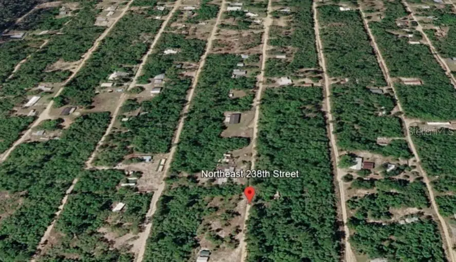 15589 NE 238th Street, Fort McCoy, FL 32134 - #1