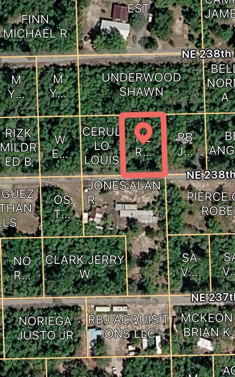 15589 NE 238th Street, Fort McCoy, FL 32134 - #2