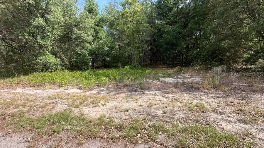 0 Guava Lane Place, Ocklawaha, FL 32179 - #2