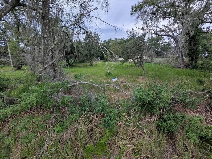 0 Central Avenue, Mulberry, FL 33860 - #3