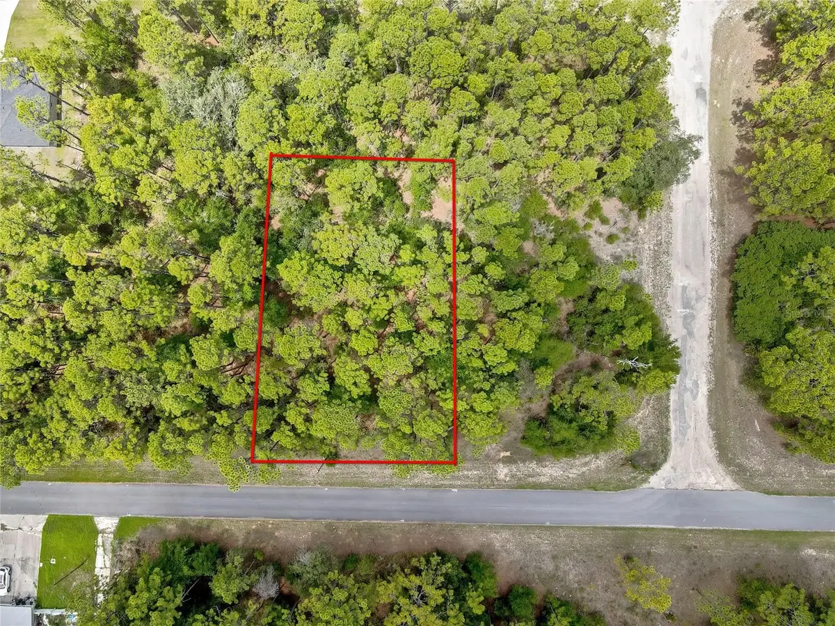 7732 N Udal Drive, Citrus Springs, FL 34434 - #1