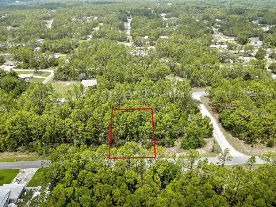 7732 N Udal Drive, Citrus Springs, FL 34434 - #2