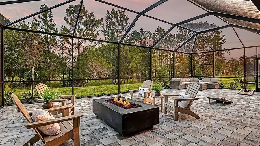 33320 Castaway Loop, Wesley Chapel, FL 33543 - #2