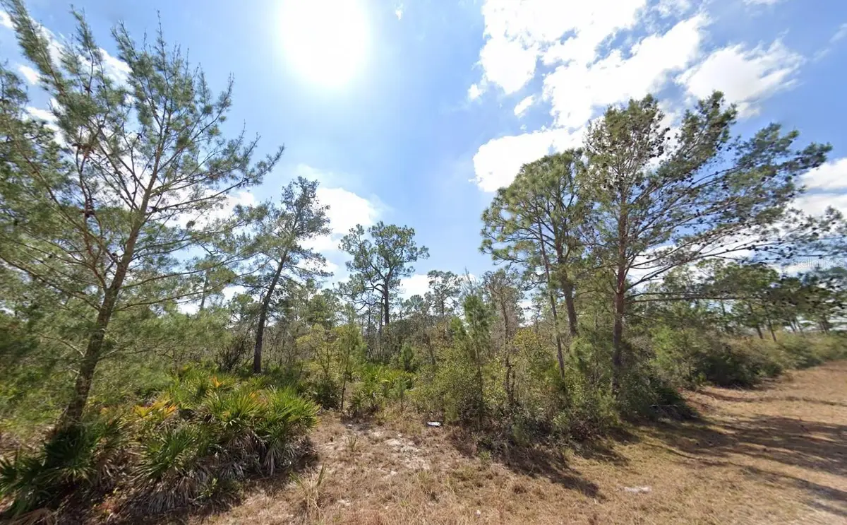 3049 Cedar Hill Avenue, Lake Placid, FL 33852 - #1