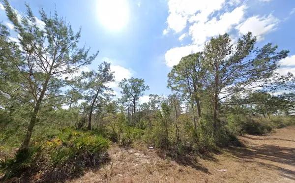3049 Cedar Hill Avenue, LAKE PLACID, FL 33852