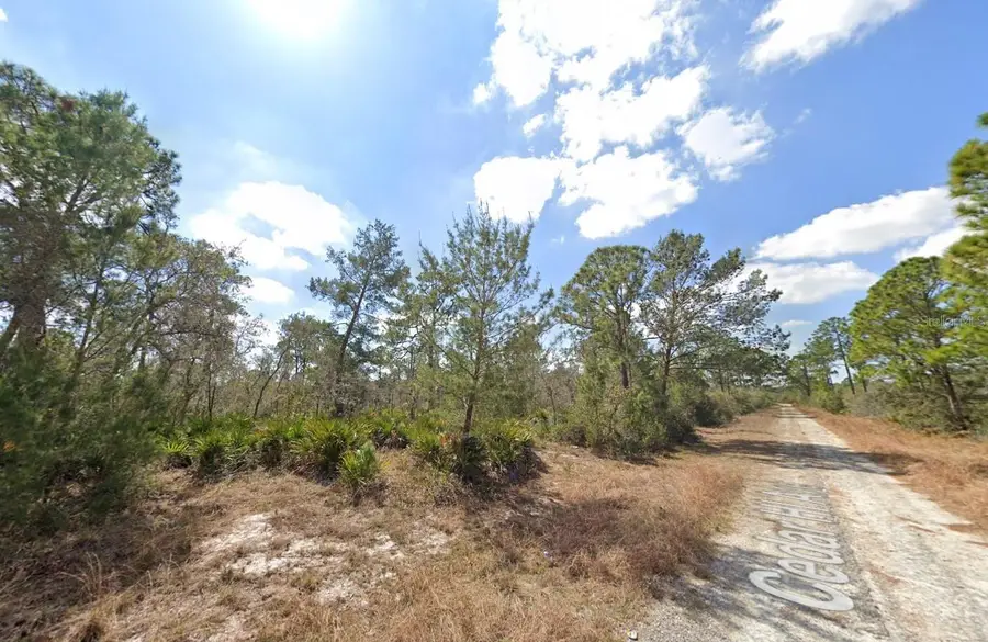 3049 Cedar Hill Avenue, Lake Placid, FL 33852 - #2