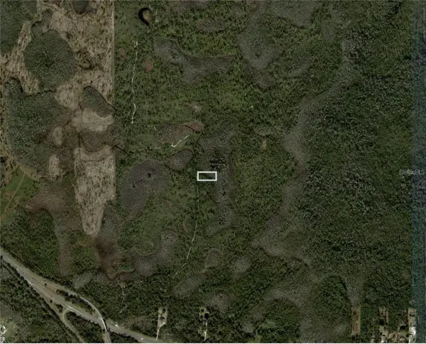 Dill Road, ORLANDO, FL 32820