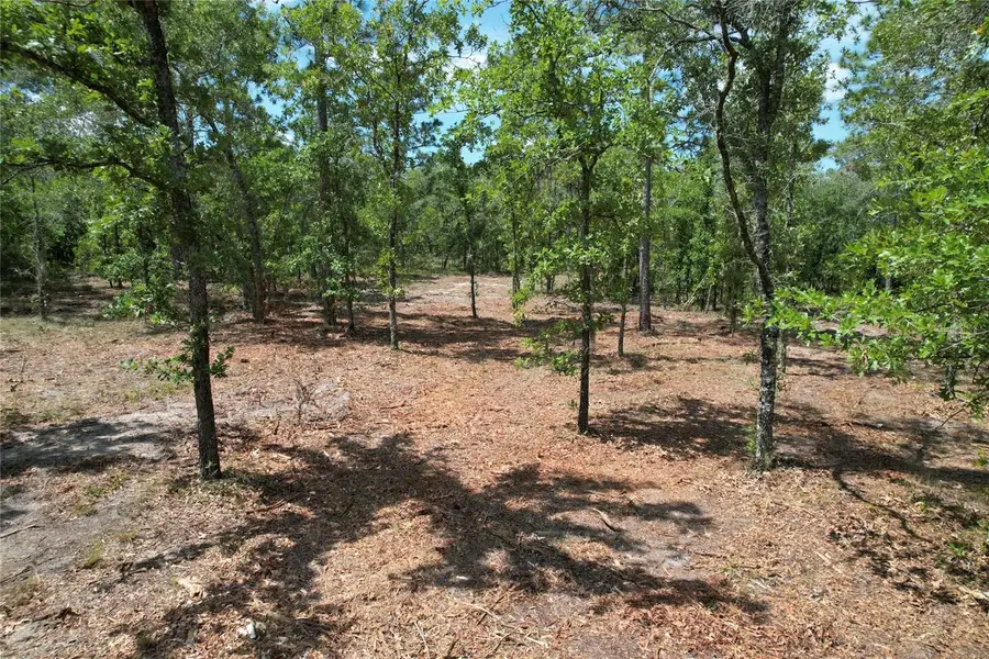 SE 53rd Lane, Morriston, FL 32668 - #3