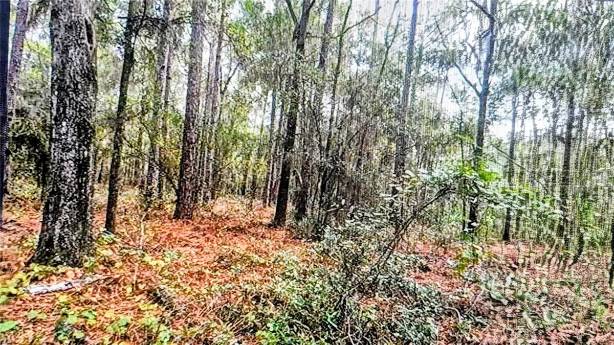 2871 W Sunkist Lane, Dunnellon, FL 34433 - #1