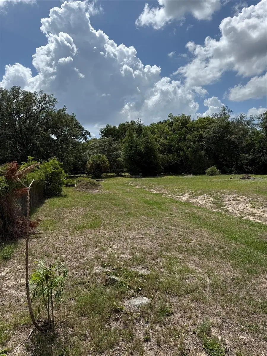 1401 N Candler Avenue, Orlando, FL 32818 - #3