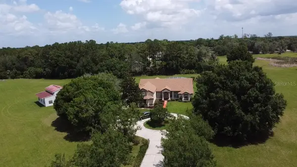 31405 Bear Pond Drive, SORRENTO, FL 32776