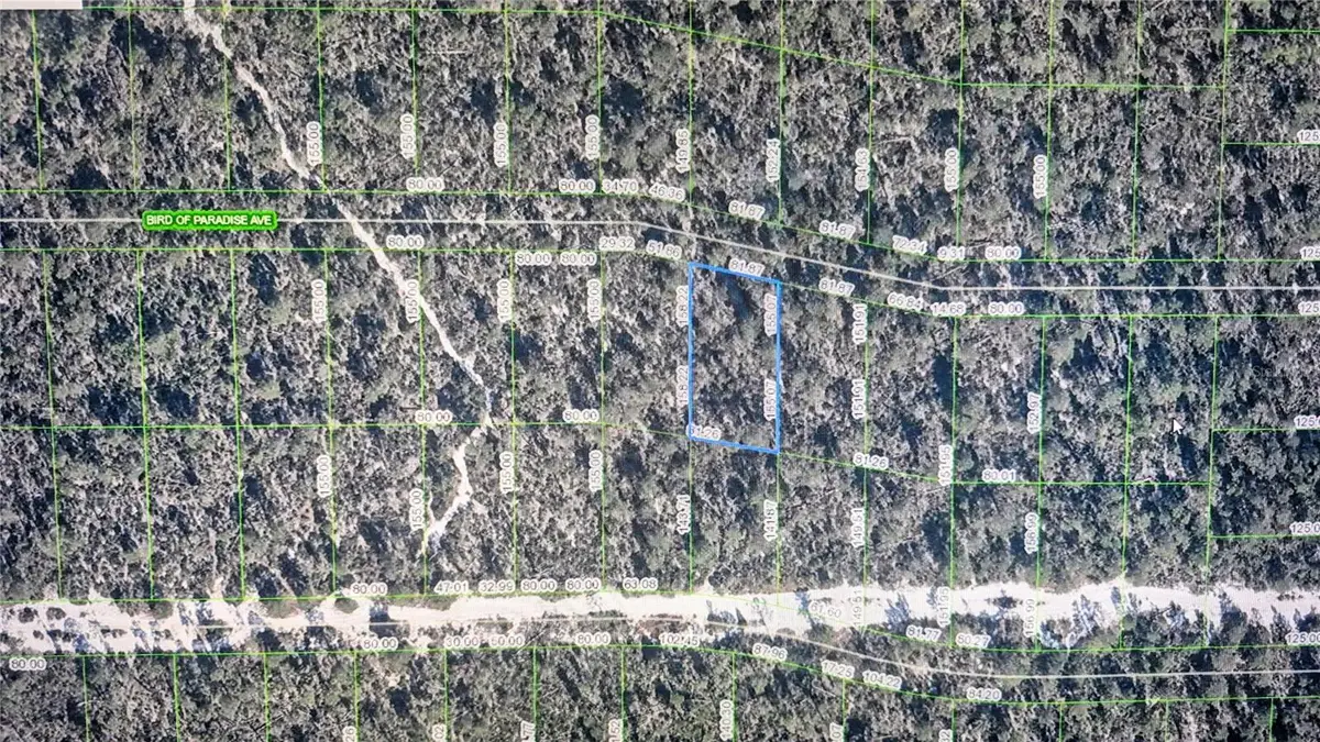 2137 Bird Of Paradise Avenue, Sebring, FL 33875 - #1