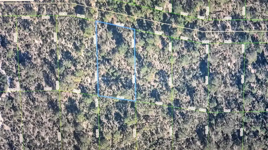 2137 Bird Of Paradise Avenue, Sebring, FL 33875 - #2
