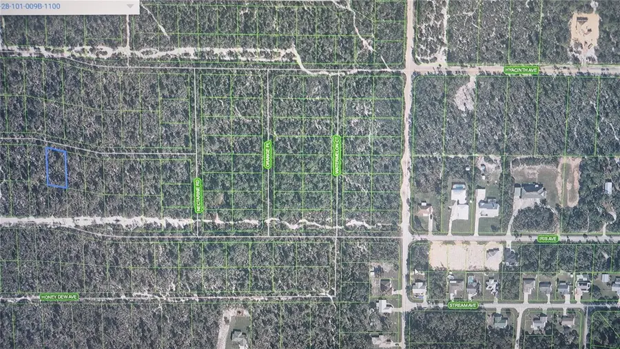2137 Bird Of Paradise Avenue, Sebring, FL 33875 - #3