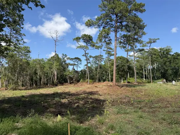 1005 Juniper Drive, CHRISTMAS, FL 32709