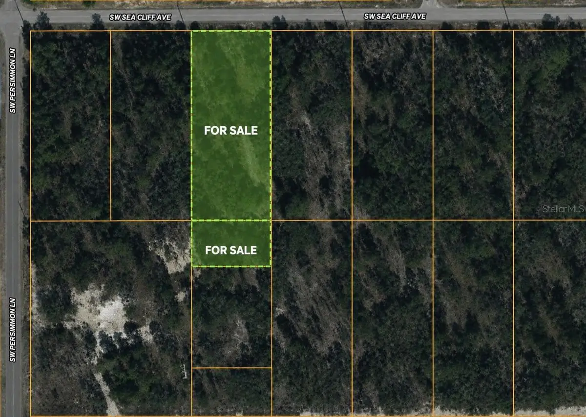 Sw Sea Cliff Ave, Dunnellon, FL 34431 - #1