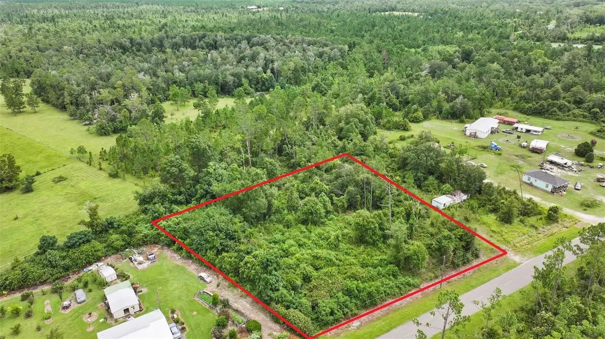 Old Panama, Wewahitchka, FL 32465 - #1