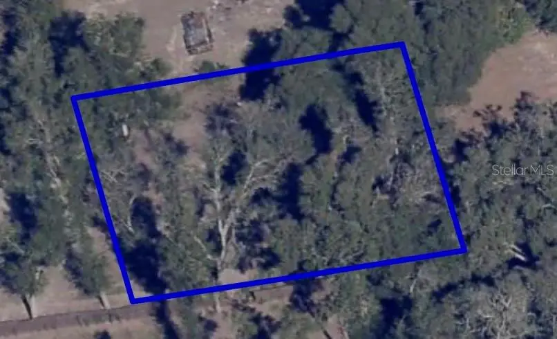 1621 Clarcona Road, Apopka, FL 32703 - #2