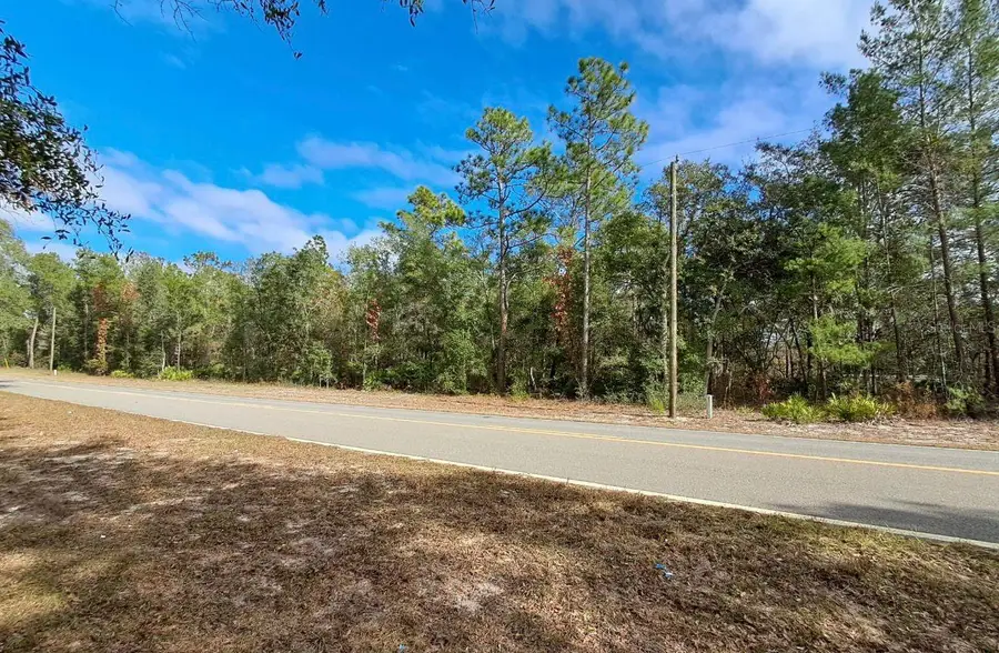 TBD Tbd, Interlachen, FL 32148 - #3