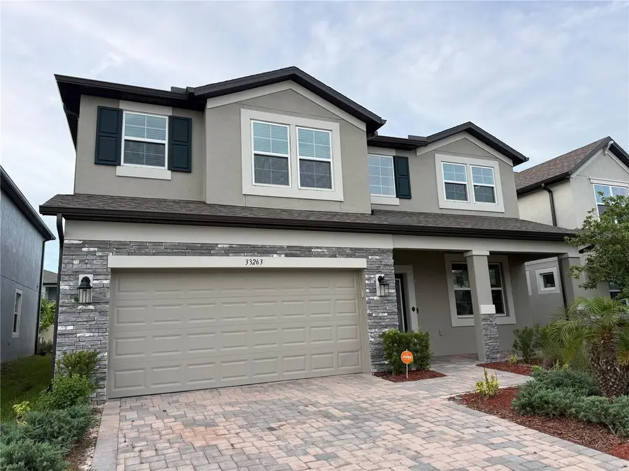 33263 Sycamore Leaf Drive, Wesley Chapel, FL 33545 - #3