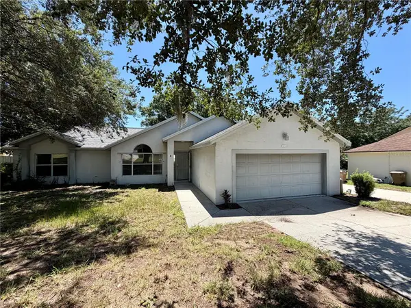 10258 Joanies Run, LEESBURG, FL 34788
