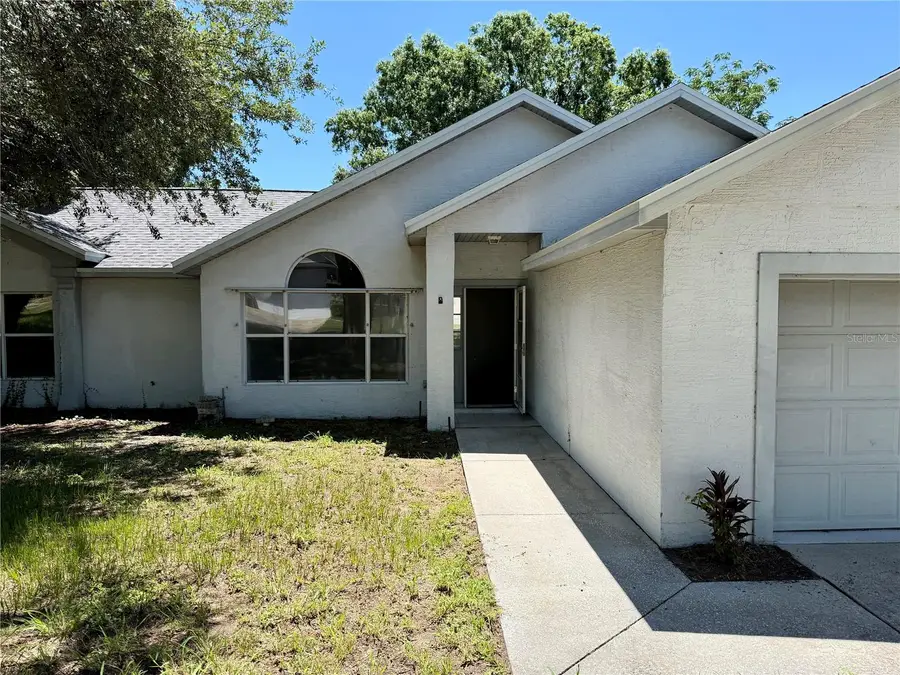10258 Joanies Run, Leesburg, FL 34788 - #3