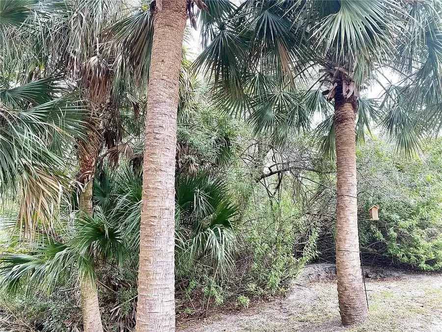 Arley Road, North Port, FL 34288 - #2