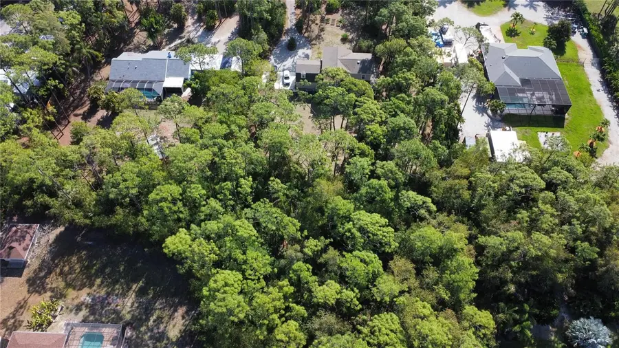 25461 Luci Drive, Bonita Springs, FL 34135 - #2