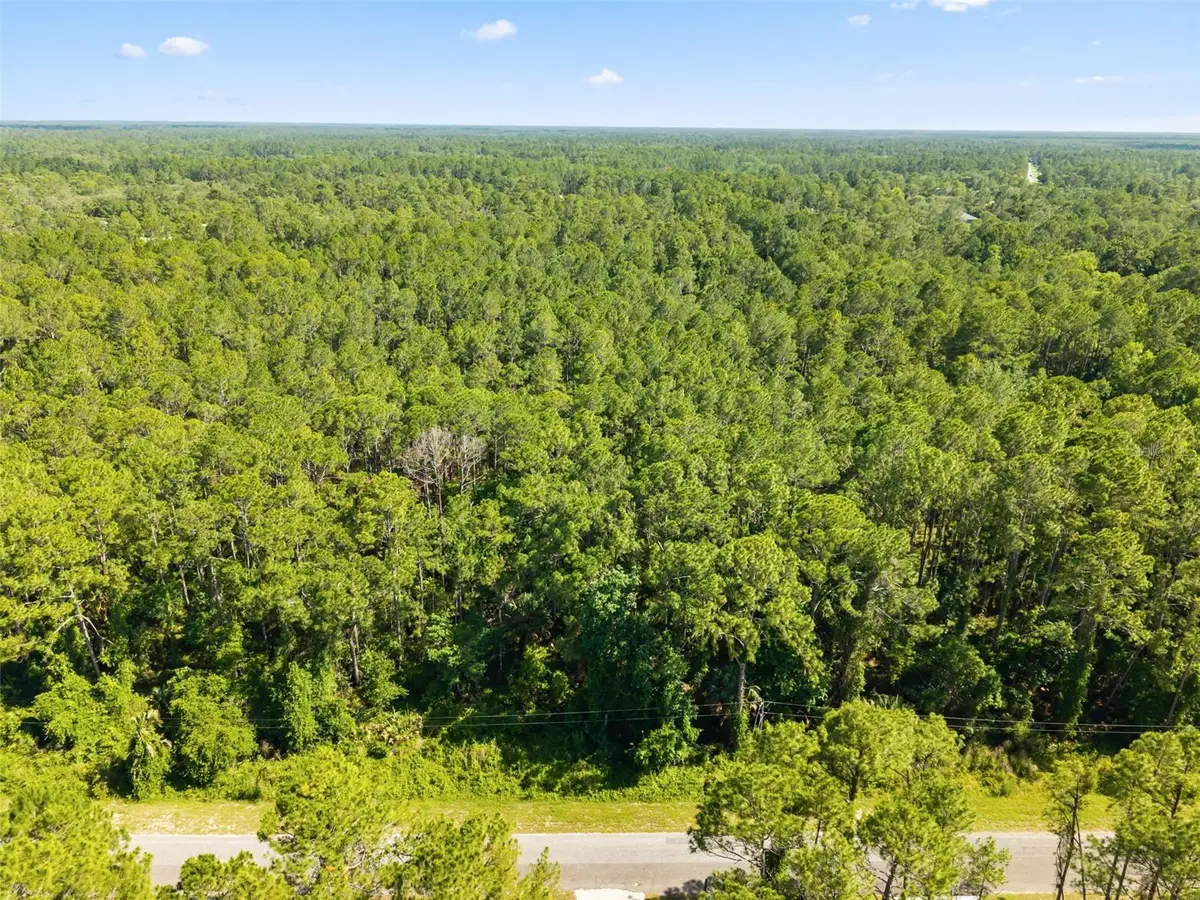 Apricot Avenue, Eustis, FL 32736 - #1