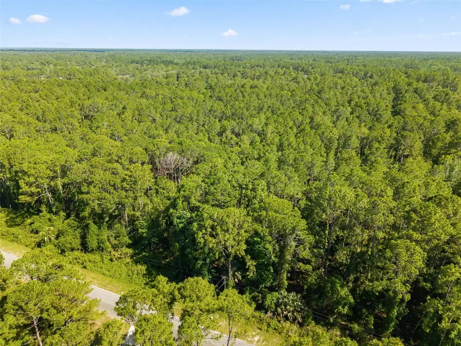Apricot Avenue, Eustis, FL 32736 - #2
