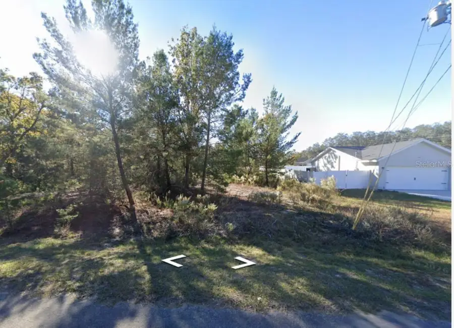 22 Fisher Run Lane, Ocklawaha, FL 32179 - #2
