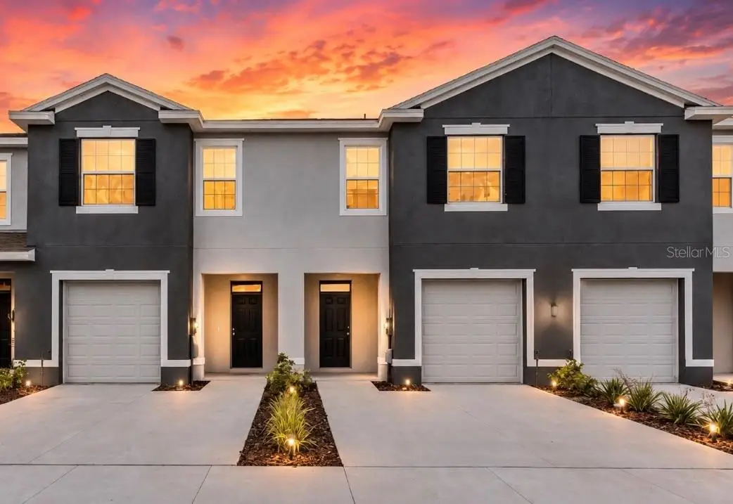 32202 Turtle Grace Loop, Wesley Chapel, FL 33545 - #1