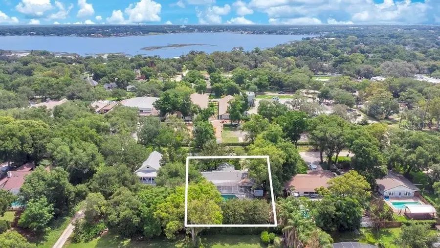 412 Forest Street, Windermere, FL 34786 - #3