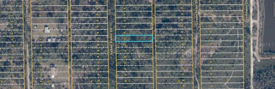 1039 Sable Palm Drive, Christmas, FL 32709 - #3