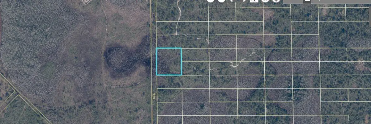 407 Dill Road, Orlando, FL 32820 - #1
