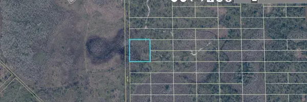 407 Dill Road, ORLANDO, FL 32820