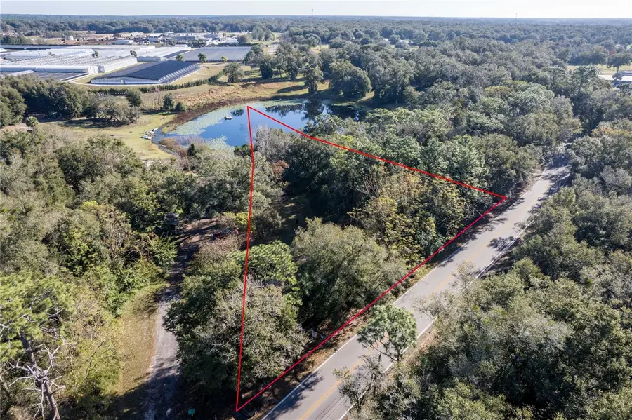 6311 Sadler Road, Mount Dora, FL 32757 - #3