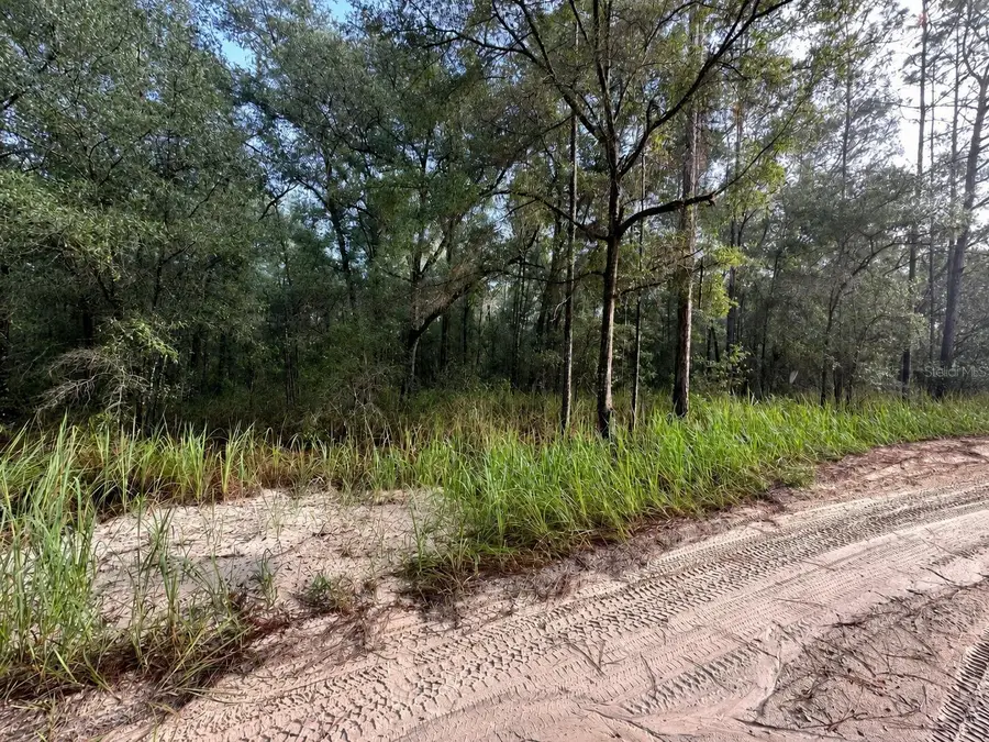 15649 SW 40th Street, Ocala, FL 34481 - #3