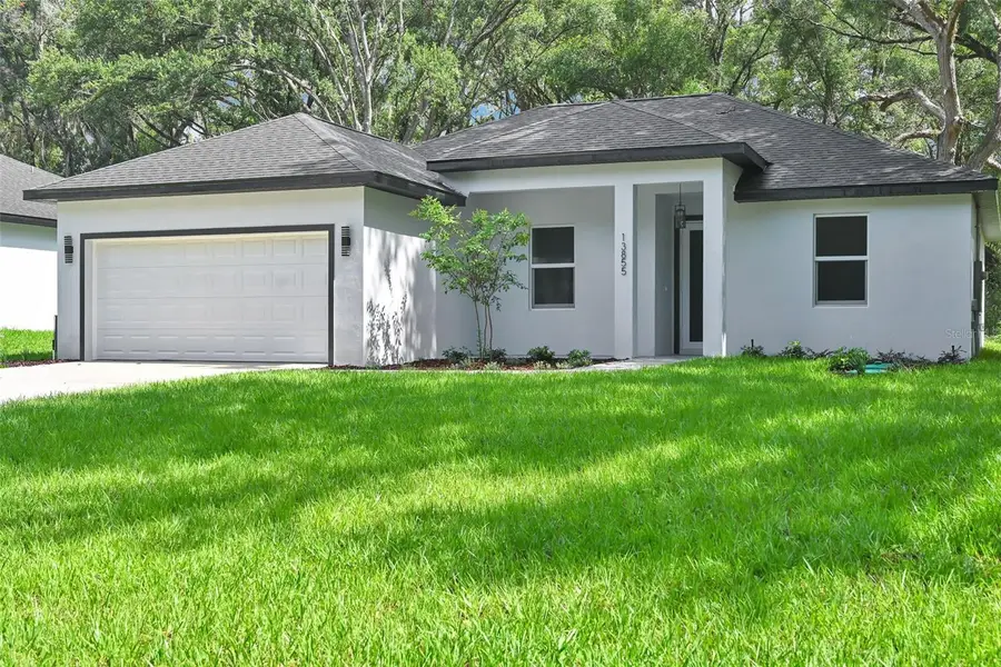 13855 SW 110th Place, Dunnellon, FL 34432 - #2