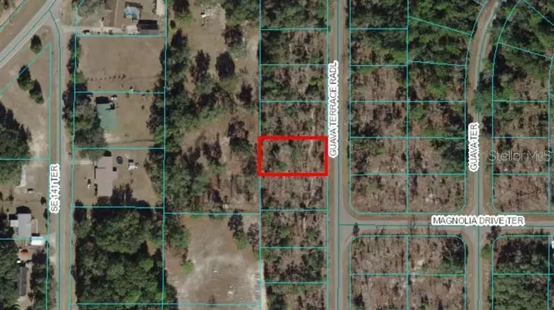 0 Guava Terrace Radial, Ocklawaha, FL 32179 - #1
