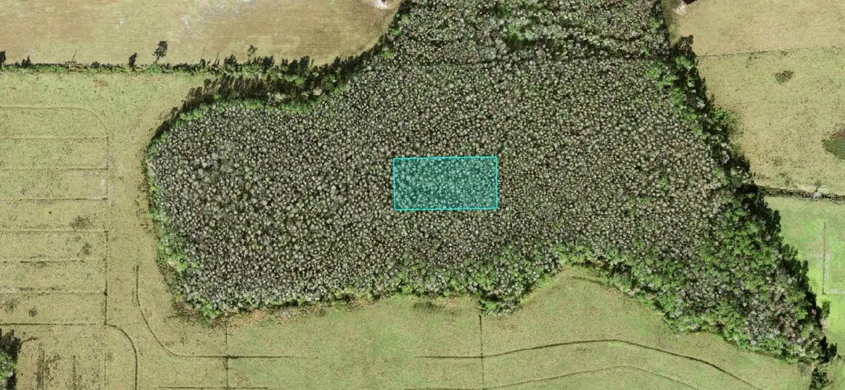No Street, Polk City, FL 33868 - #1