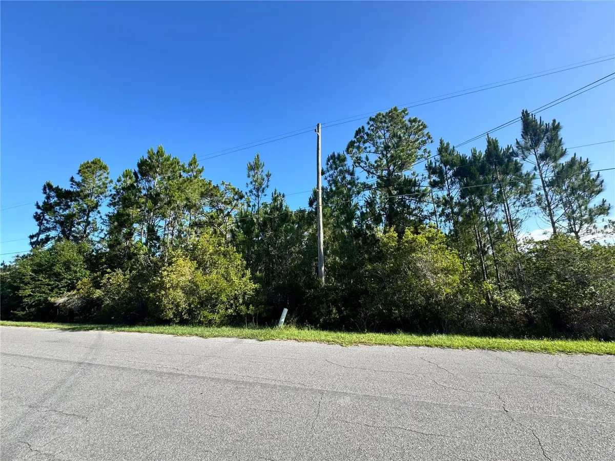 20345 Quinn Street, Orlando, FL 32833 - #1