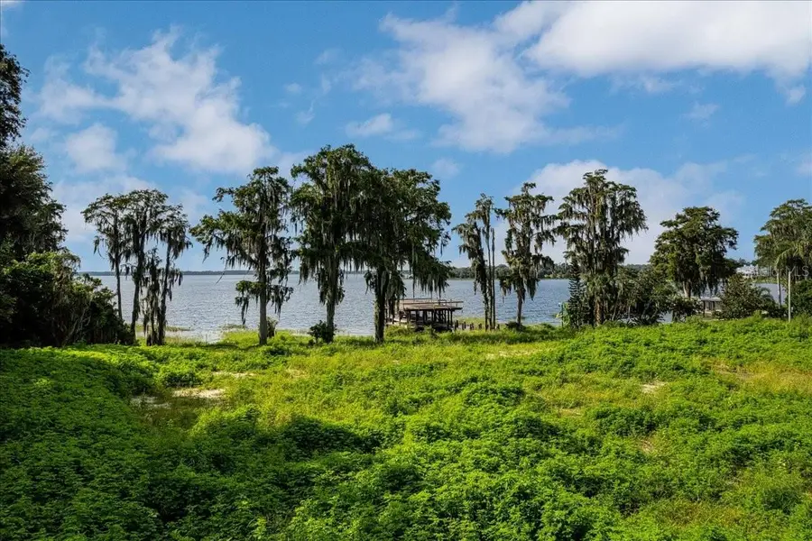 12422 Park Avenue, Windermere, FL 34786 - #3