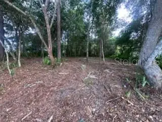 3253 Sardinia Terrace, Deltona, FL 32738 - #3