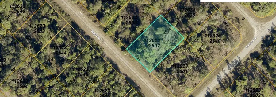 Bignay Road, North Port, FL 34288 - #2