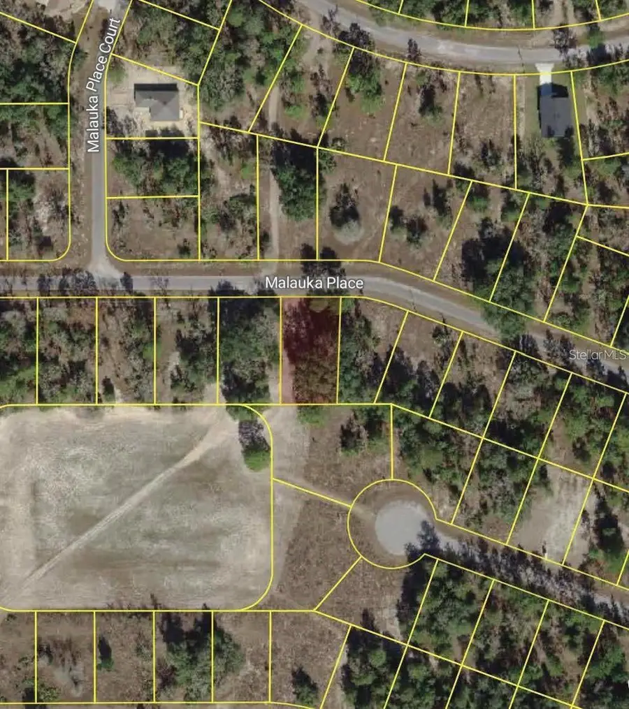 Malauka Place, Ocklawaha, FL 32179 - #2