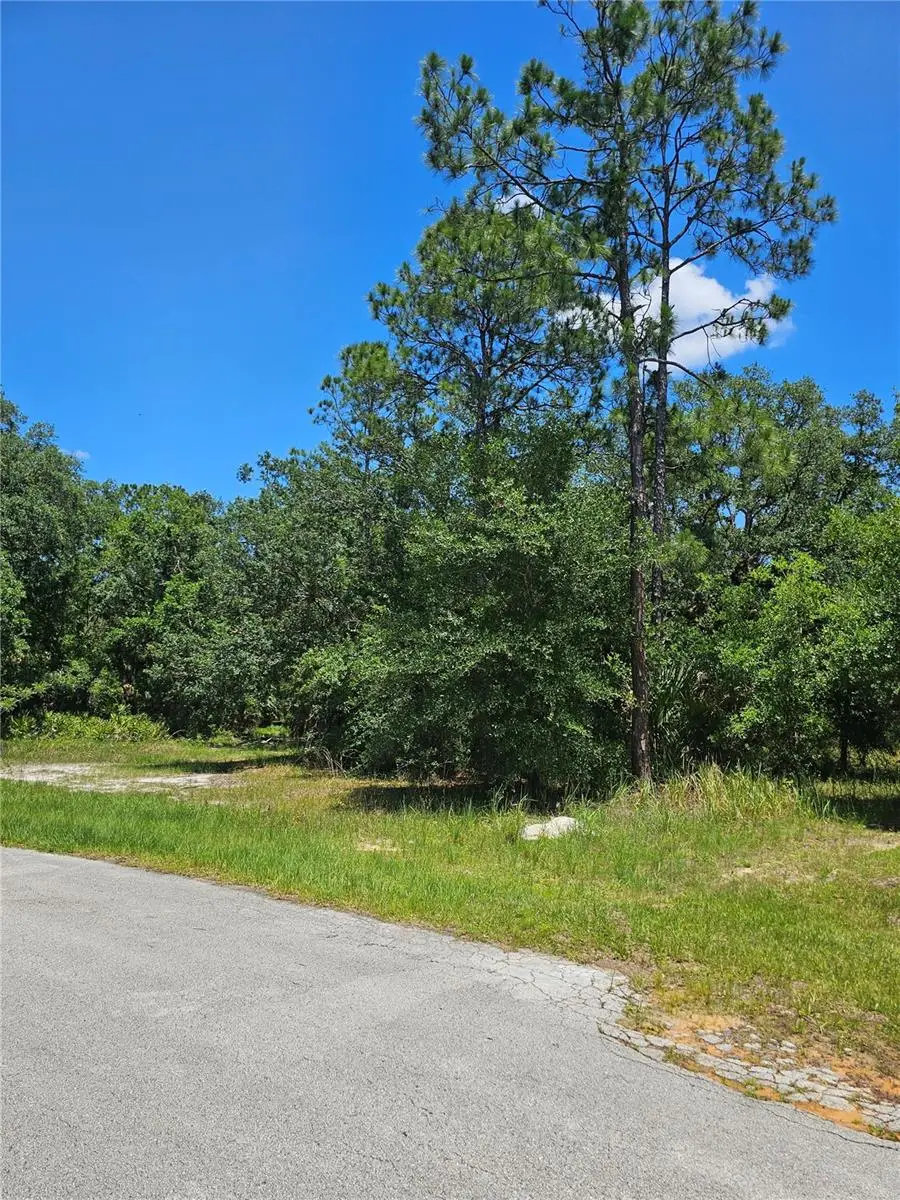 223 Starling Court, Poinciana, FL 34759 - #2