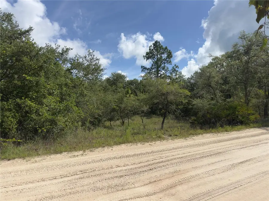 8389 SW 155th Street, Dunnellon, FL 34432 - #3